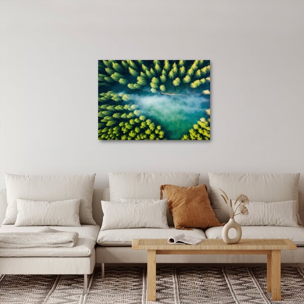 Obraz - Mlhou zahalený les (70x50 cm)