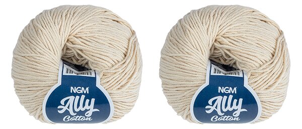 BELLATEX SET 2ks - Příze ALLY cotton Šampaň 50g / 140 m