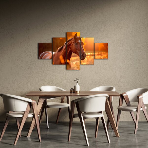 Obraz - Kůň v západu slunce (125x70 cm)