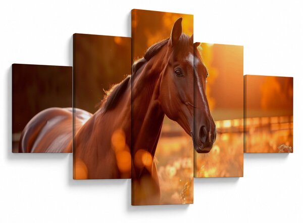 Obraz - Kůň v západu slunce (125x70 cm)