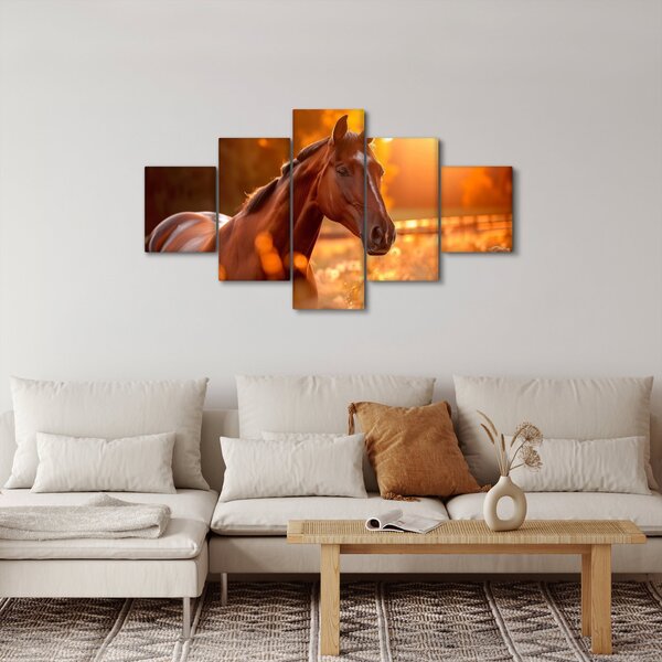 Obraz - Kůň v západu slunce (125x70 cm)