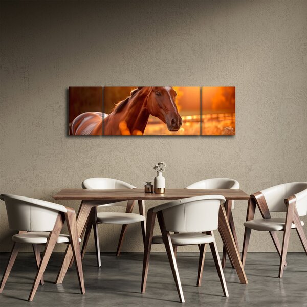 Obraz - Kůň v západu slunce (170x50 cm)