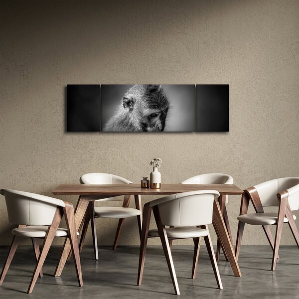 Obraz - Opička (170x50 cm)