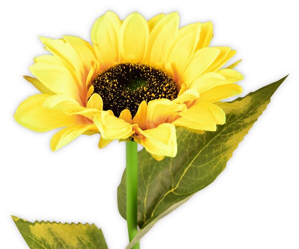 SOLÁRNÍ SVÍTIDLO, 15/72 cm Ambia Garden - Solární světla