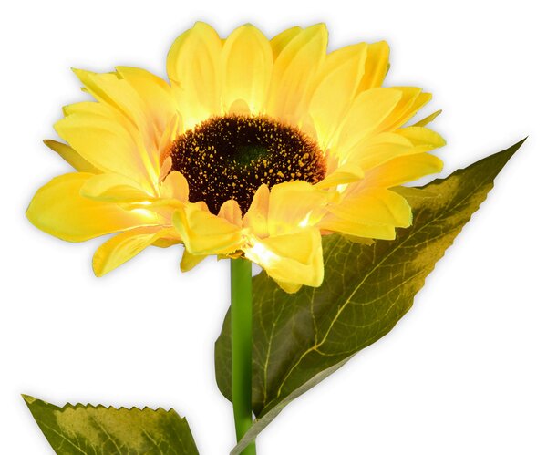 SOLÁRNÍ SVÍTIDLO, 15/72 cm Ambia Garden - Solární světla