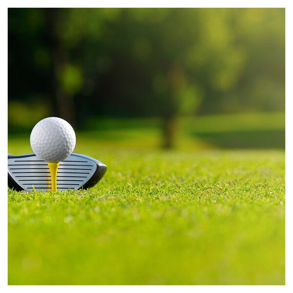 Obraz - Golf (30x30 cm)