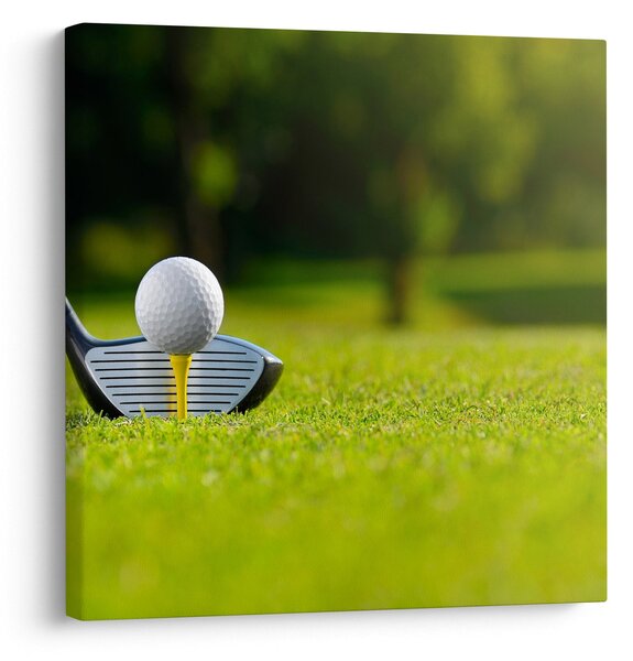 Obraz - Golf (30x30 cm)