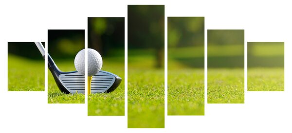 Obraz - Golf (210x100 cm)