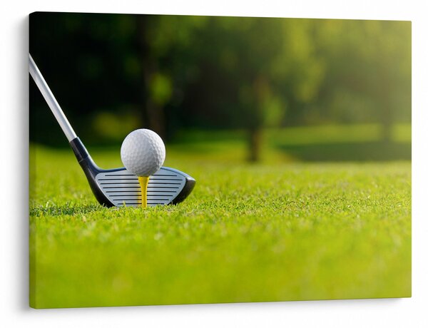 Obraz - Golf (70x50 cm)