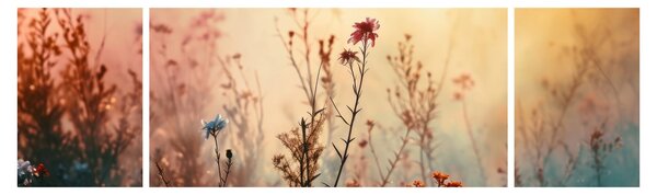 Obraz - Divoké kvítí (170x50 cm)