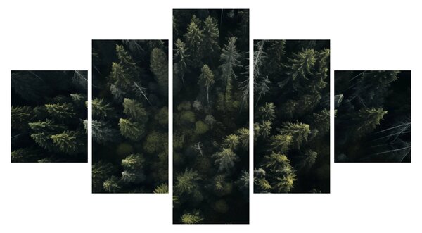 Obraz - Les (125x70 cm)