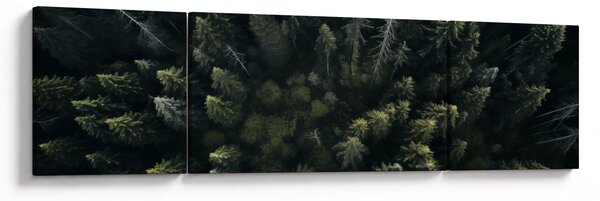 Obraz - Les (170x50 cm)