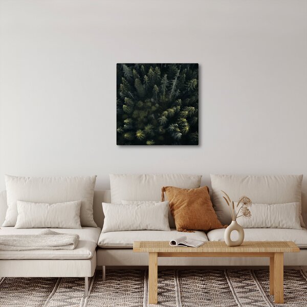 Obraz - Les (30x30 cm)