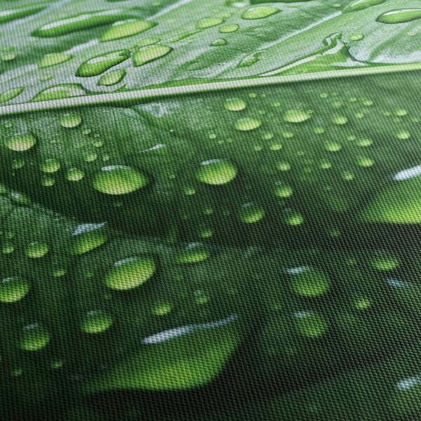 Obraz - Detail listu po dešti (s hodinami) (90x30 cm)