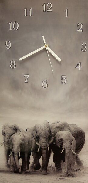 Nástěnné hodiny slon 30x60cm I - plexi