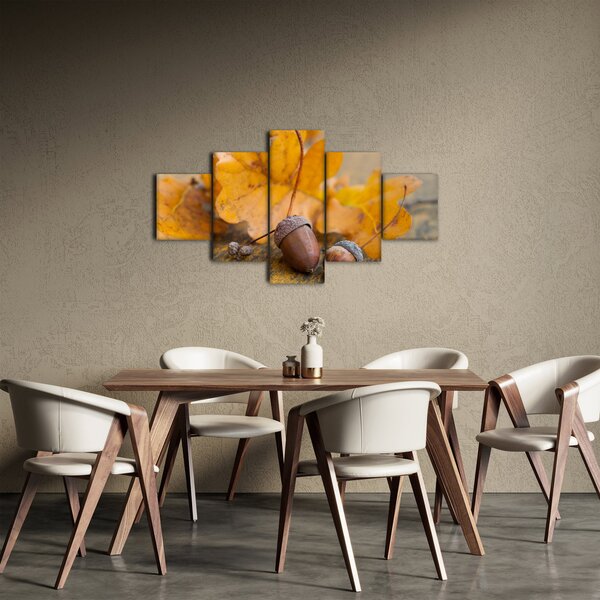 Obraz - Podzimní žaludy (125x70 cm)