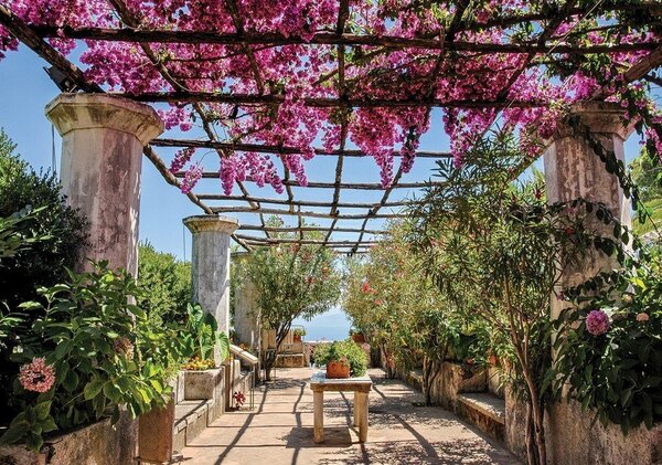 Postershop Fototapeta vliesová: Květinová pergola - 254x368 cm