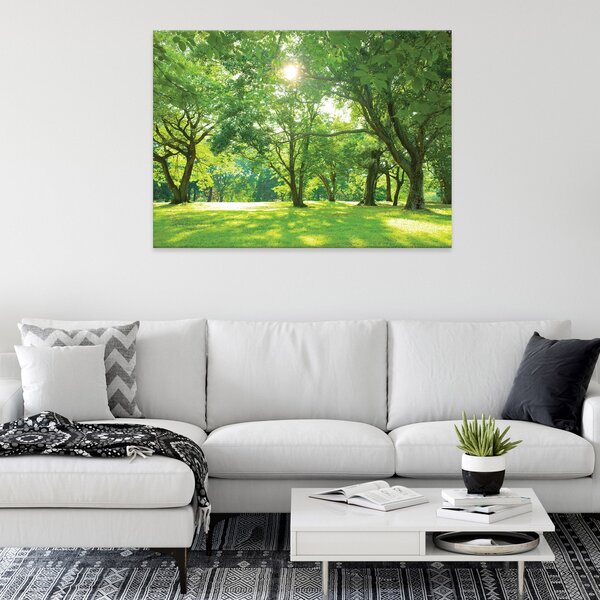 Postershop Obraz na plátně: Nature forest park trees - 100x75 cm