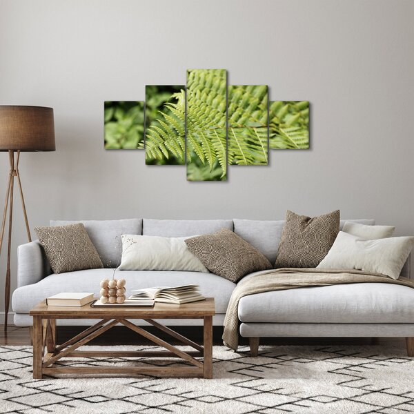 Obraz - Kapradinový list (125x70 cm)