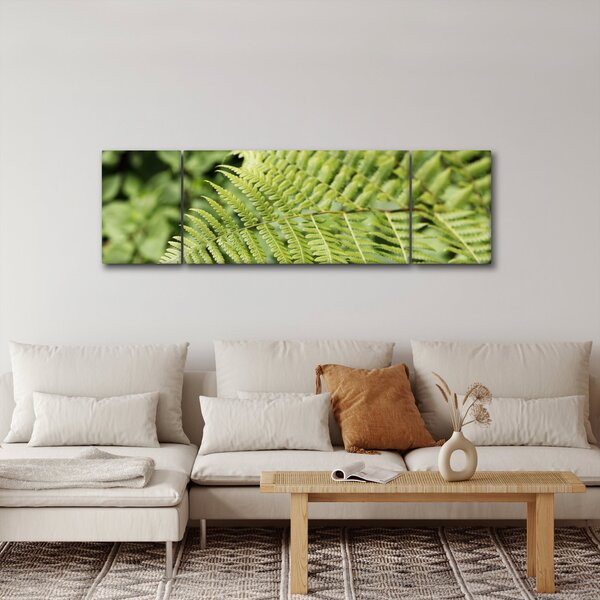 Obraz - Kapradinový list (170x50 cm)