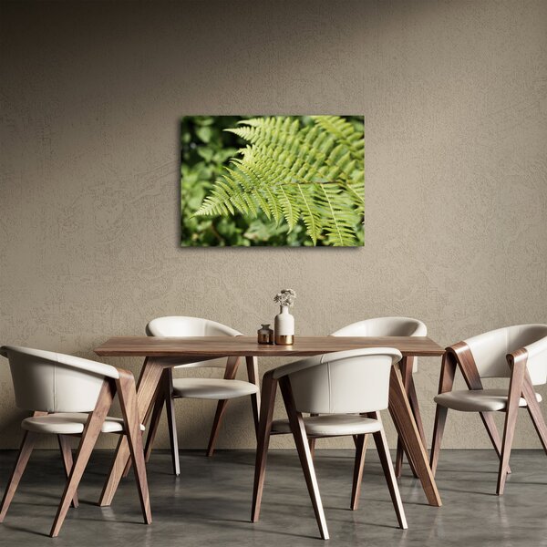 Obraz - Kapradinový list (70x50 cm)