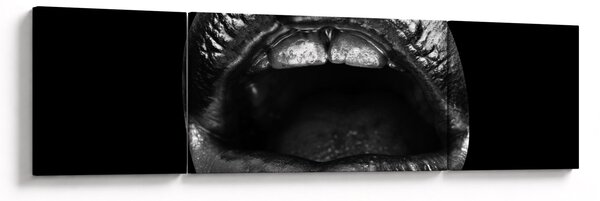 Obraz - Lesklé rty (170x50 cm)
