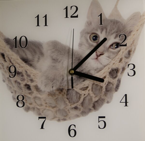 Nástěnné hodiny kočka 30x30cm II - plexi