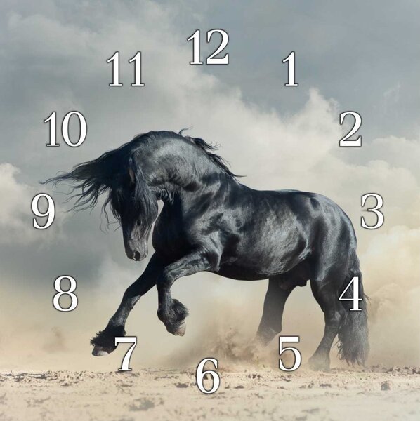 Nástěnné hodiny kůň 30x30cm XVIII - plexi