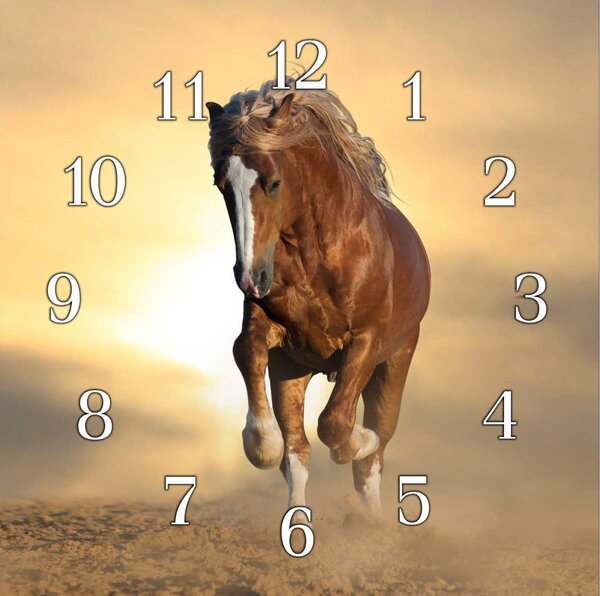 Nástěnné hodiny kůň 30x30cm XVII - plexi