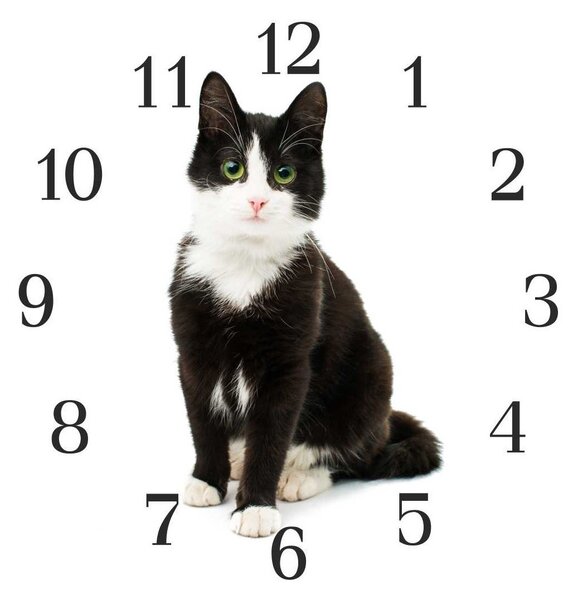 Nástěnné hodiny kočka 30x30cm X - plexi