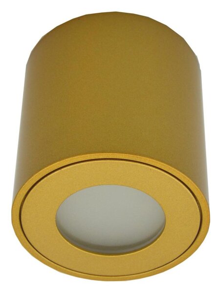 Venkovní bodové svítidlo FARA 1xGU10/30W/230V IP54 zlatá