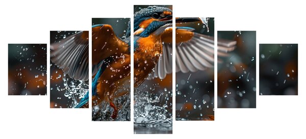 Obraz - Ledňáček (210x100 cm)