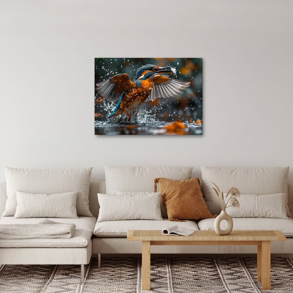 Obraz - Ledňáček (70x50 cm)