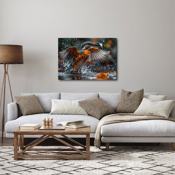 Obraz - Ledňáček (70x50 cm)