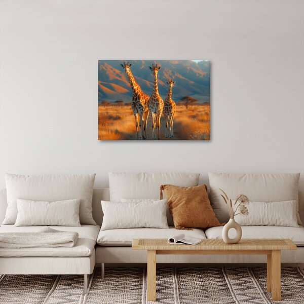 Obraz - Žirafy na pastvině (70x50 cm)