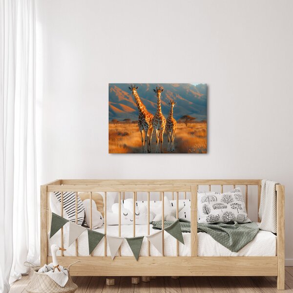 Obraz - Žirafy na pastvině (70x50 cm)
