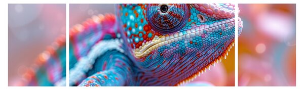 Obraz - Zbarvený chameleon (170x50 cm)