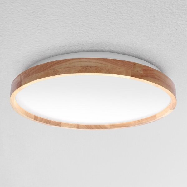 Brilagi - LED Stmívatelné stropní svítidlo ALSON LED/48W/230V 3000-6500K + DO
