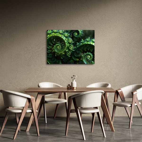 Obraz - Spirály (70x50 cm)