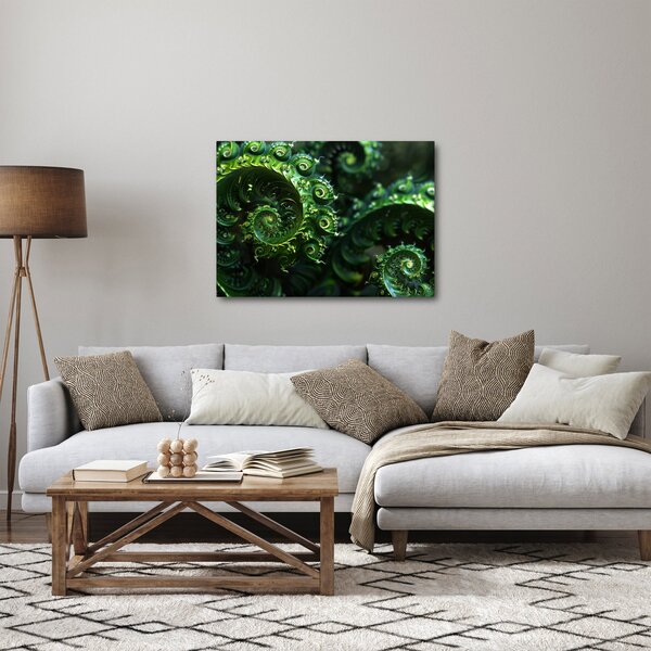 Obraz - Spirály (70x50 cm)