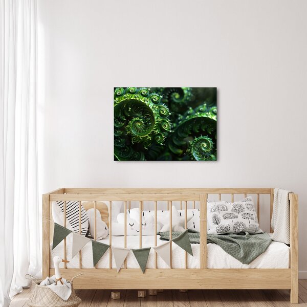 Obraz - Spirály (70x50 cm)