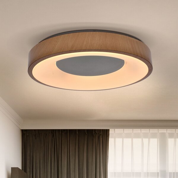 Brilagi - LED Stmívatelné stropní svítidlo DORIA LED/48W/230V 3000-6500K + DO