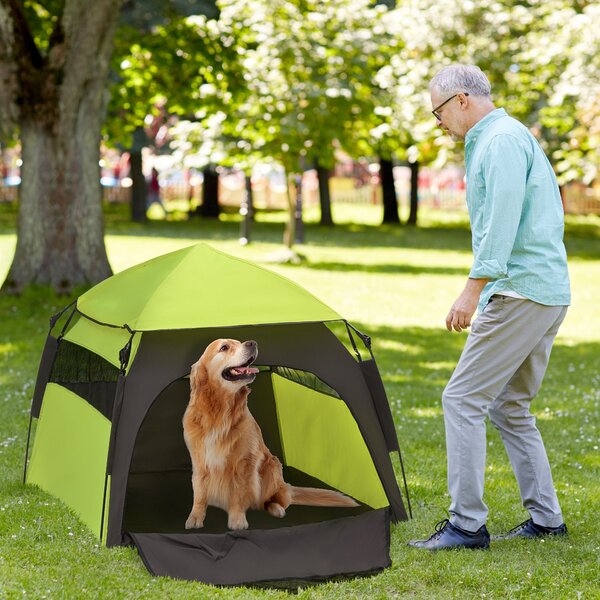 PawHut Psí Stan, Stan pro Kočky na Ven, Psí Dům s Síťovým Okénkem, Psí Teepee Stan s Taškou na Přenášení, Slunečník do Zahrady, Obýváku, Zelená + Tmav