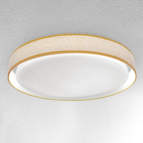 Brilagi - LED Stmívatelné stropní svítidlo KIANIA LED/48W/230V 3000-6500K + DO