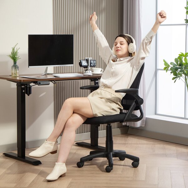 HOMCOM ergonomická síťovaná kancelářská židle se sklopnými područkami, bederní oporou a nastavitelným náklonem — černá | Aosom