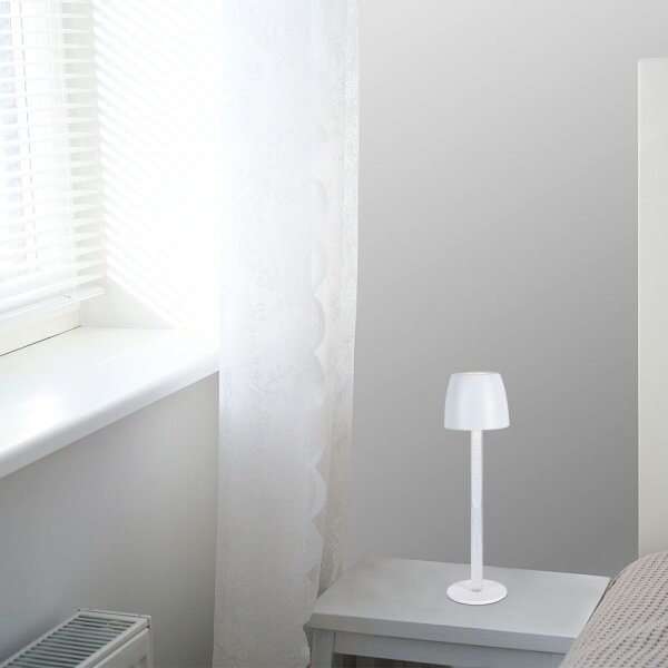 LED Stmívatelná nabíjecí stolní lampa LED/3W/5V 3000K bílá