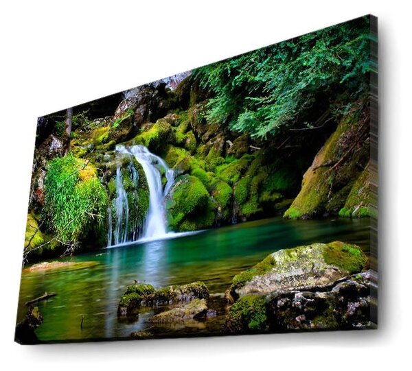 Wallity Obraz s LED osvětlením PŘÍRODA 34 45 x 70 cm