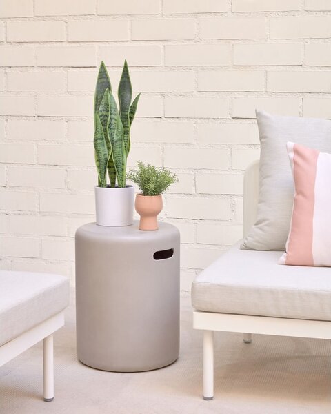 Umělá rostlina (výška 55 cm) Sansevieria – Kave Home