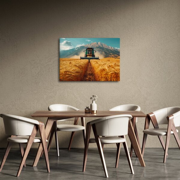 Obraz - Zemědělec (70x50 cm)