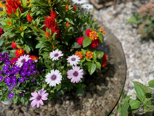 COMO skleněná kulatá zahradní mísa na květiny d80 cm Šedá